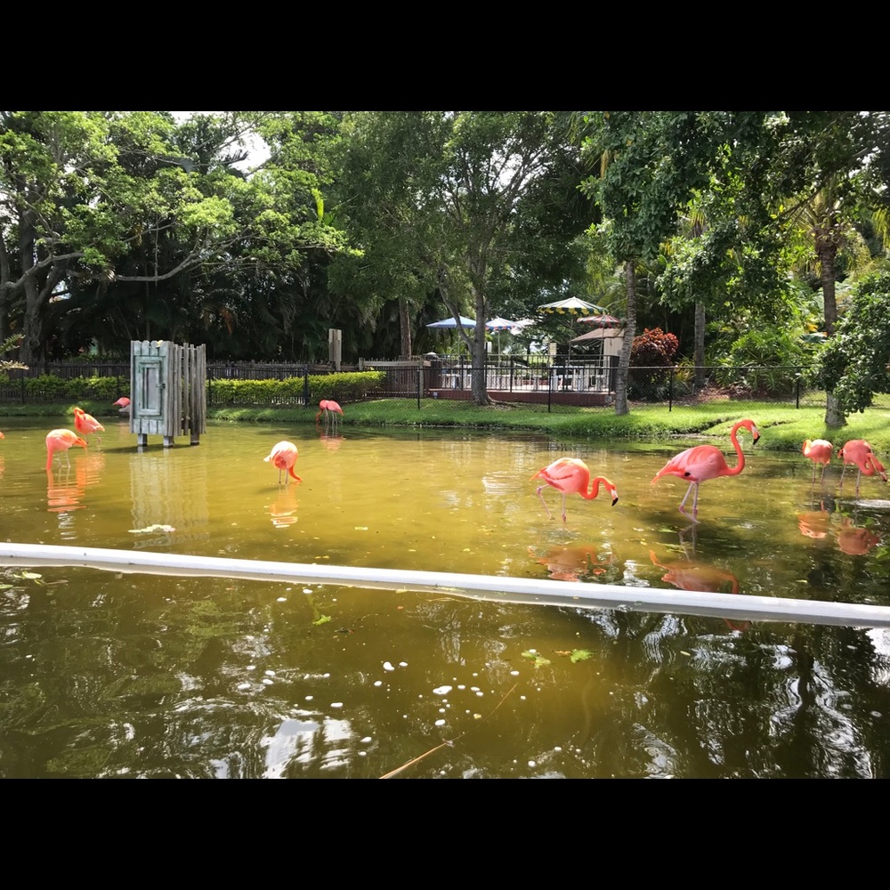 Meet your Posher, Seelios